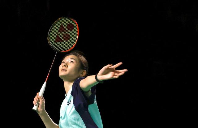 一个全新的 一个全新的