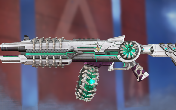 杨哲的坚持 杨哲的坚持